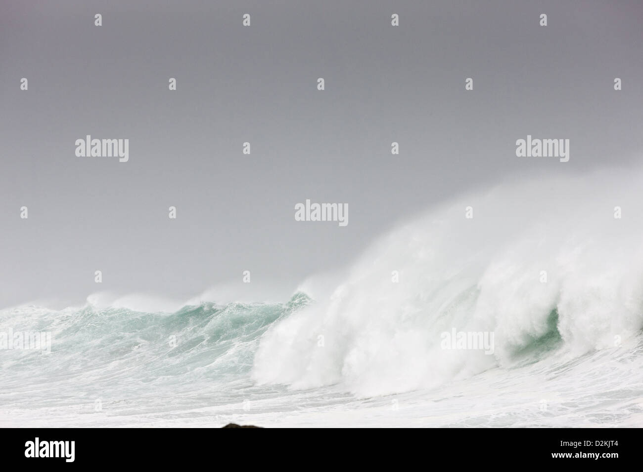 Des vagues et du surf sur la côte ouest de l'Afrique du Sud, à Postberg, West Coast National Park. L'Afrique du Sud. Banque D'Images