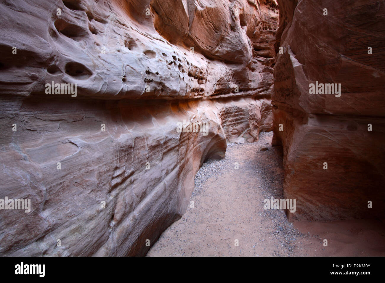 Coupoles blanches slot canyon Valley of Fire State Park nevada Banque D'Images