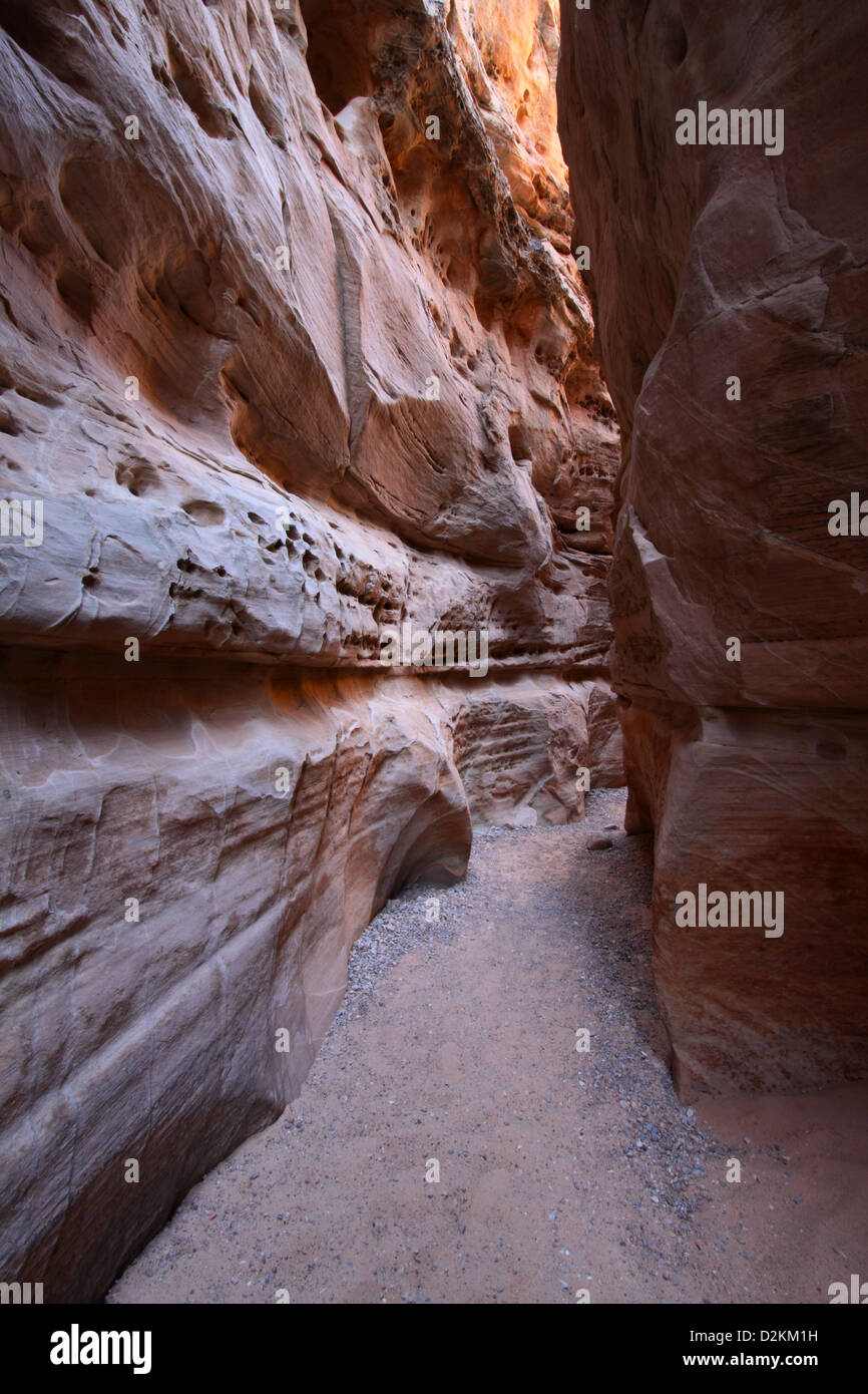 Coupoles blanches slot canyon Valley of Fire State Park nevada Banque D'Images