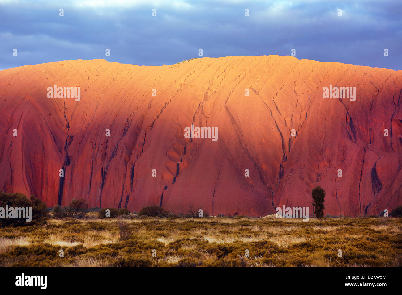 Uluru (Ayers Rock), le Centre de l'Australie. Banque D'Images