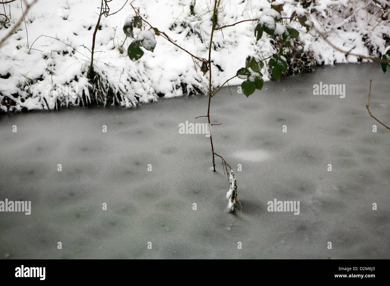 L'eau de fossé gelé dans une plaine inondable, Oxford, Oxfordshire, Angleterre. Une branche d'arbre est gelé dans l'eau. Banque D'Images