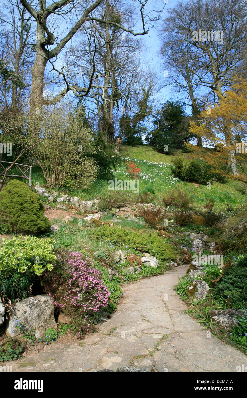 Le bois de printemps des jardins de rocaille Weir NT Swainshill Herefordshire Angleterre UK Banque D'Images