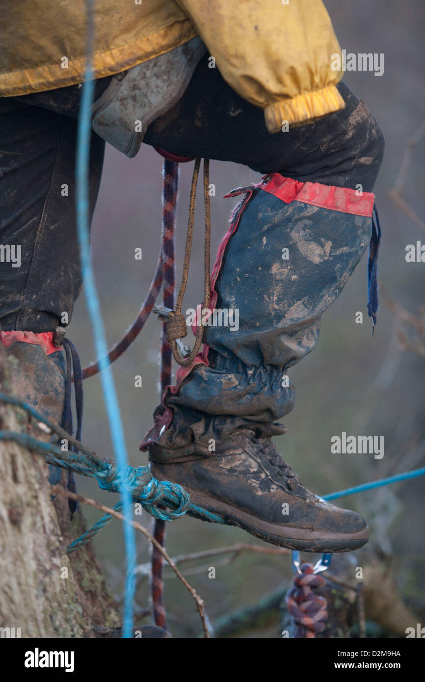 Combe Haven, Bexhill, Hastings, Royaume-Uni. 28 janvier 2013. Combe Haven, Bexhill, Hastings, Royaume-Uni. 28 janvier 2013. Premières Journées Expulsions forcées à l'étang de leurre Combe Haven . Bexhill Hastings bypass. 1 personne a été arrêté mais personne n'a été enlevé les arbres ftom malgré une énorme présence de sécurité. Autour de 50 sécurité mis en place et 15 personnes sont toujours dans les arbres. Credit : Adrian arbib / Alamy Live News Banque D'Images