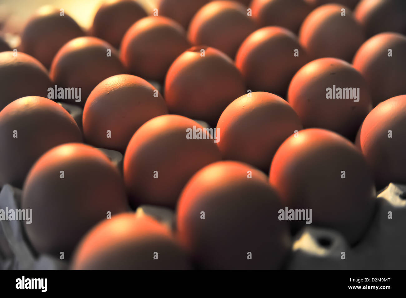 Brown background Banque D'Images