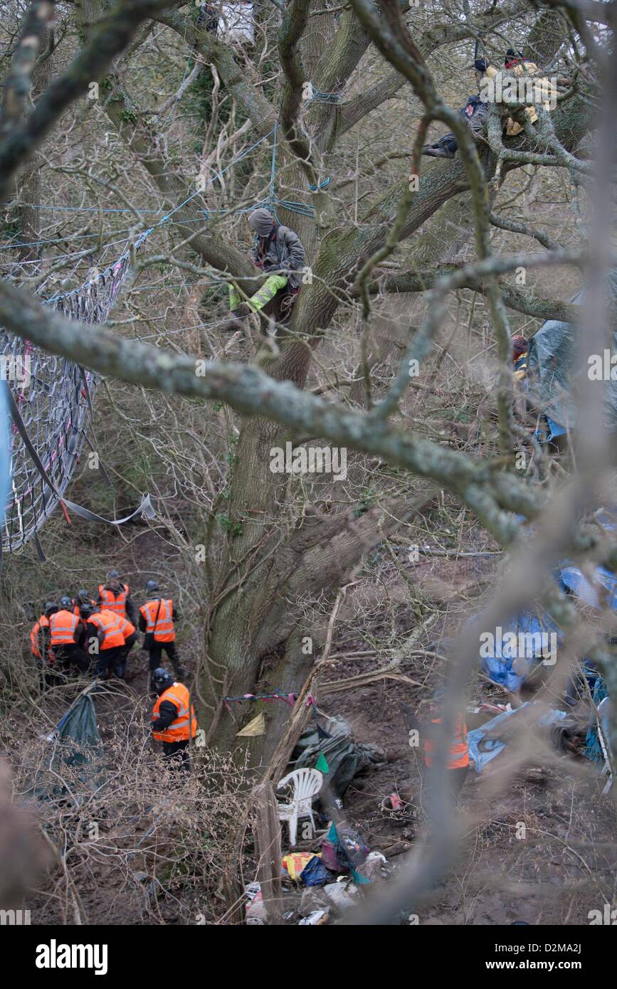 Combe Haven, Bexhill, Hastings, Royaume-Uni. 28 janvier 2013. Combe Haven, Bexhill, Hastings, Royaume-Uni. 28 janvier 2013. Premières Journées Expulsions forcées à l'étang de leurre Combe Haven . Bexhill Hastings bypass. 1 personne a été arrêté mais personne n'a été enlevé les arbres ftom malgré une énorme présence de sécurité. Autour de 50 sécurité mis en place et 15 personnes sont toujours dans les arbres. Credit : Adrian arbib / Alamy Live News Banque D'Images