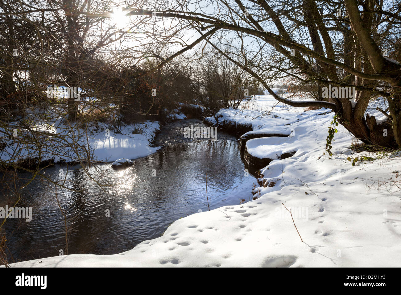 Hiver neige scène dans les bois par un flux avec ciel bleu clair. Banque D'Images