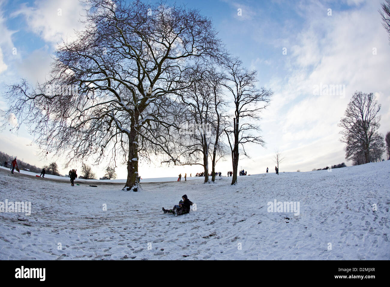 Tobogganig sur Primrose Hill London UK Banque D'Images
