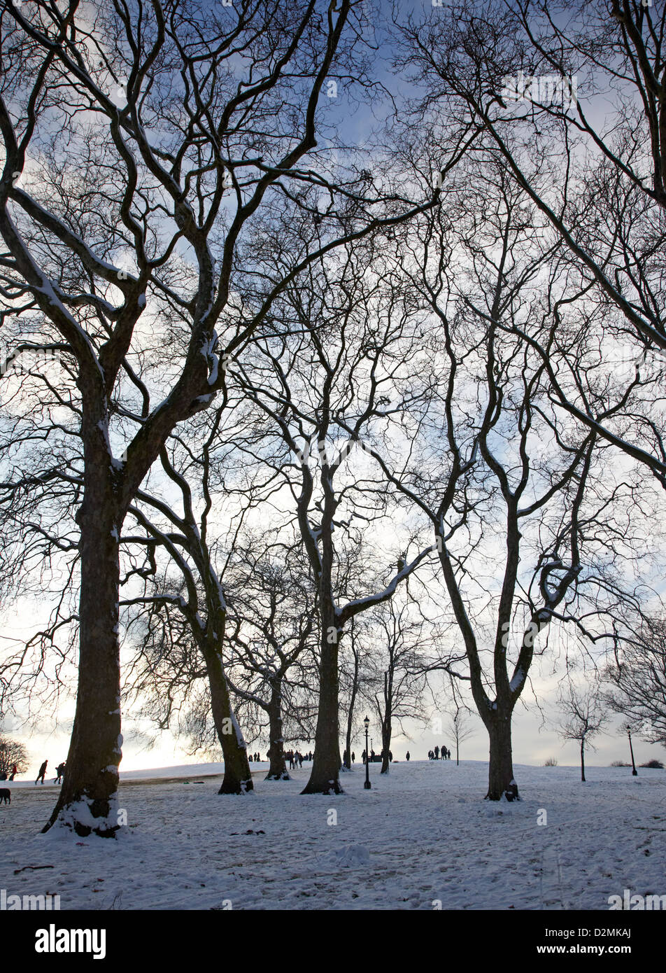 L'hiver sur Primrose Hill London UK Banque D'Images