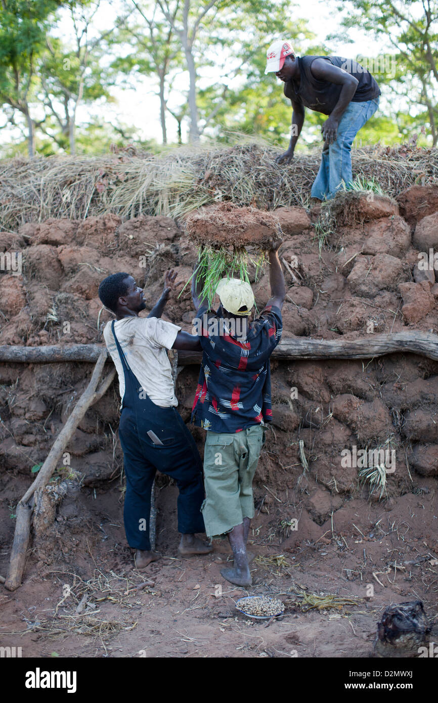 La réserve forestière de MUECATE, près de Nampula, MOZAMBIQUE, Mai 2010 : Une licence charbonniers au travail la coupe de bois et de faire un four. Banque D'Images