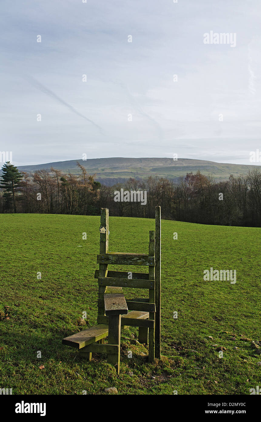 Country Style mais pas de clôture ! Banque D'Images