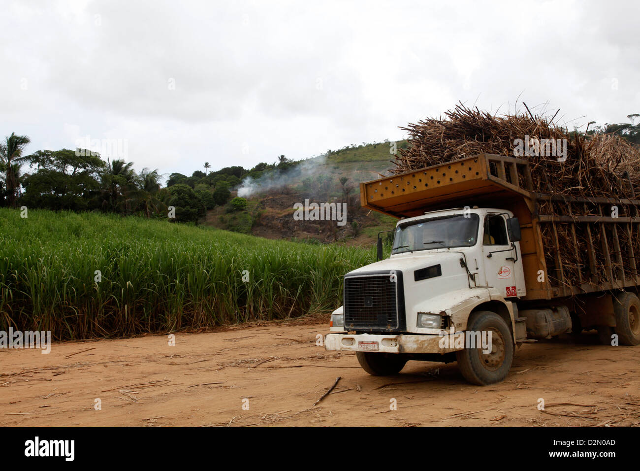 Camion chargé de la canne à sucre à un champ près de Porto de Galinhas, Pernambuco, Brésil, Amérique du Sud Banque D'Images