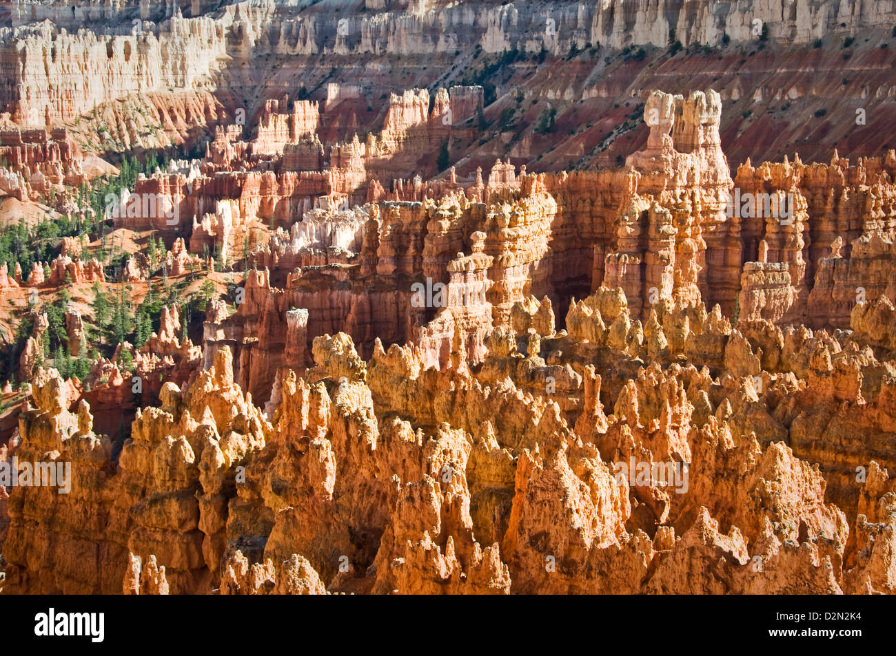 Le parc national de Bryce Canyon, vue de Sunset point, Utah, USA Banque D'Images