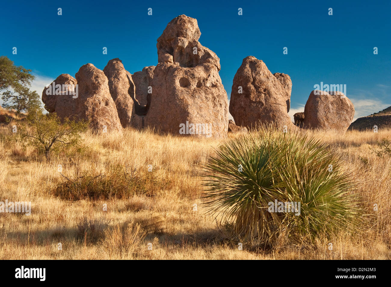 Formations de roche volcanique au City of Rocks State Park, Valley, Désert de Chihuahuan Mimbres, New Mexico, USA Banque D'Images