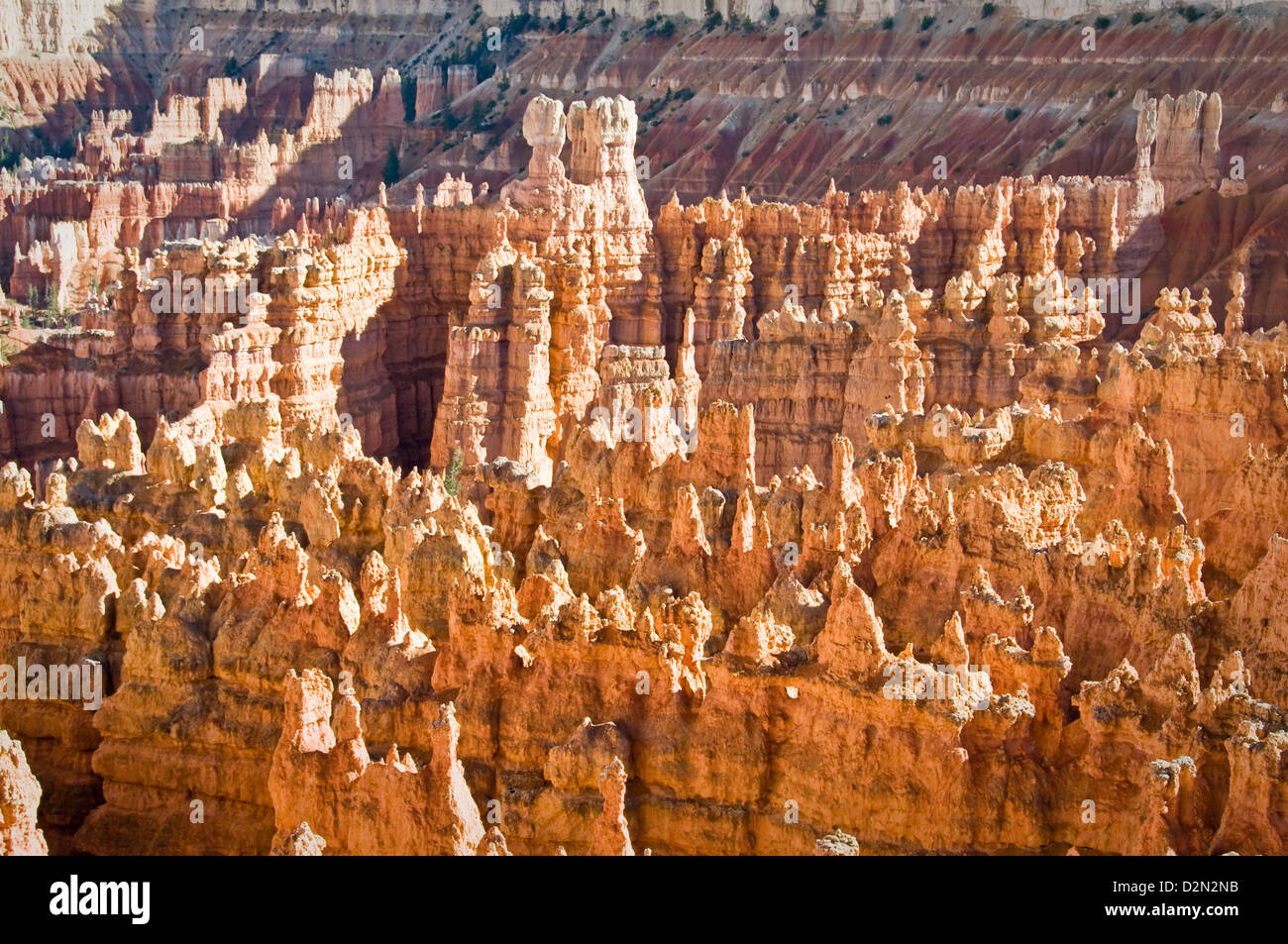 Le parc national de Bryce Canyon, vue de Sunset point, Utah, USA Banque D'Images