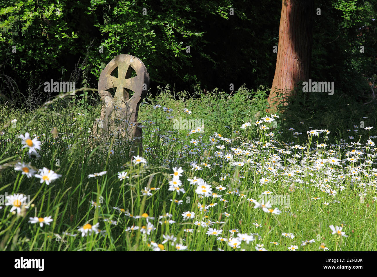 Le cimetière Mount, Guildford, Surrey, Angleterre Banque D'Images