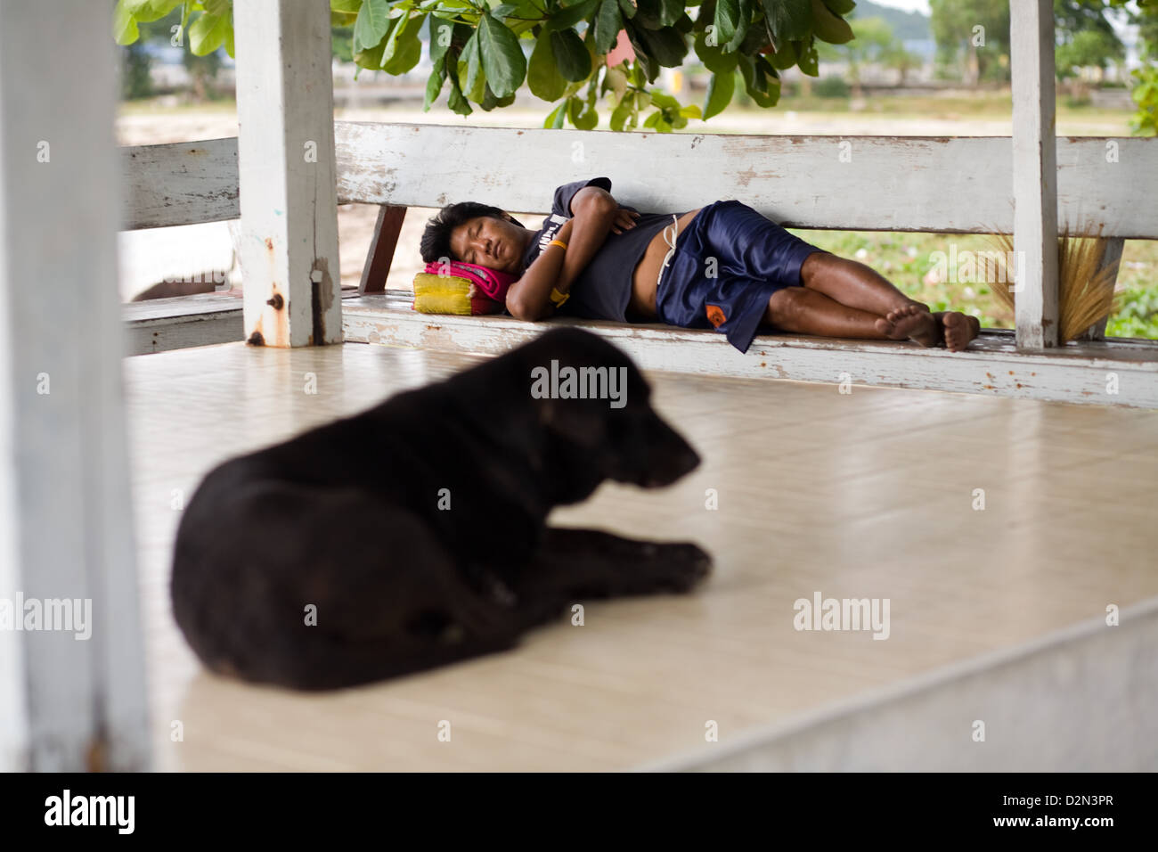 Un chien et un homme endormi à Thong Sala , Koh Phangan , Thaïlande Banque D'Images