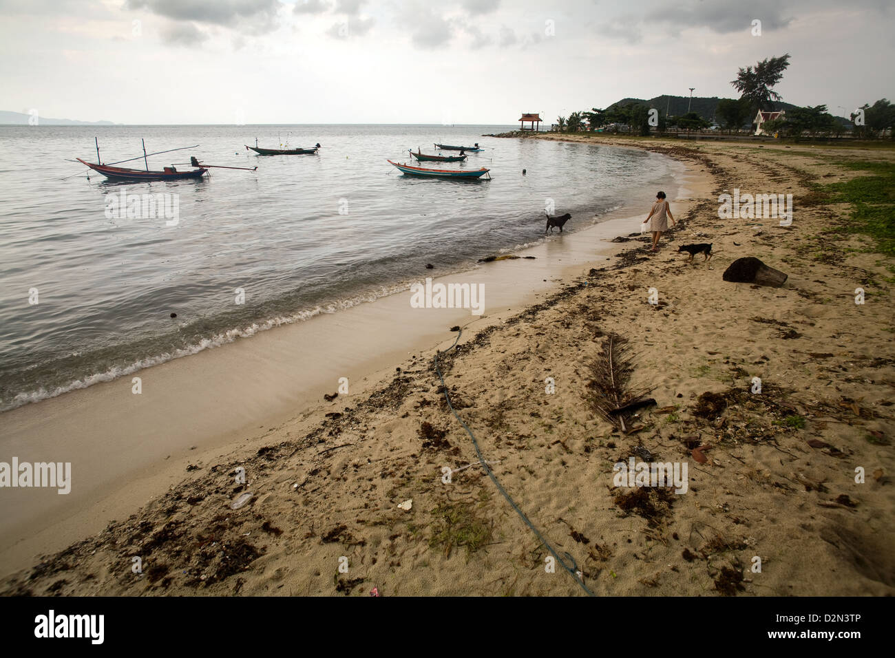 Une femme et des chiens sur une plage de Thong Sala , , Koh Phangan , Thaïlande Banque D'Images