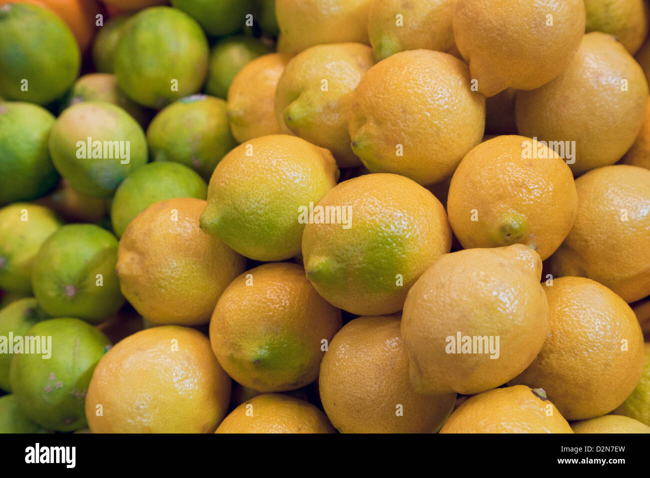 Citrons et limes, Rutaceae, agrumes prêts à être vendus sur le marché agricole Banque D'Images