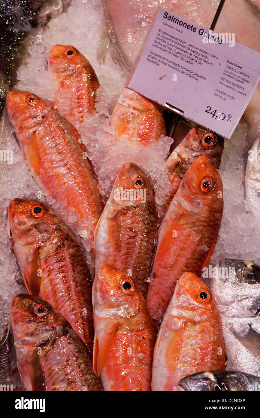 Marché de poissons rougets salmonete chamberi madrid espagne fruits de mer frais Banque D'Images