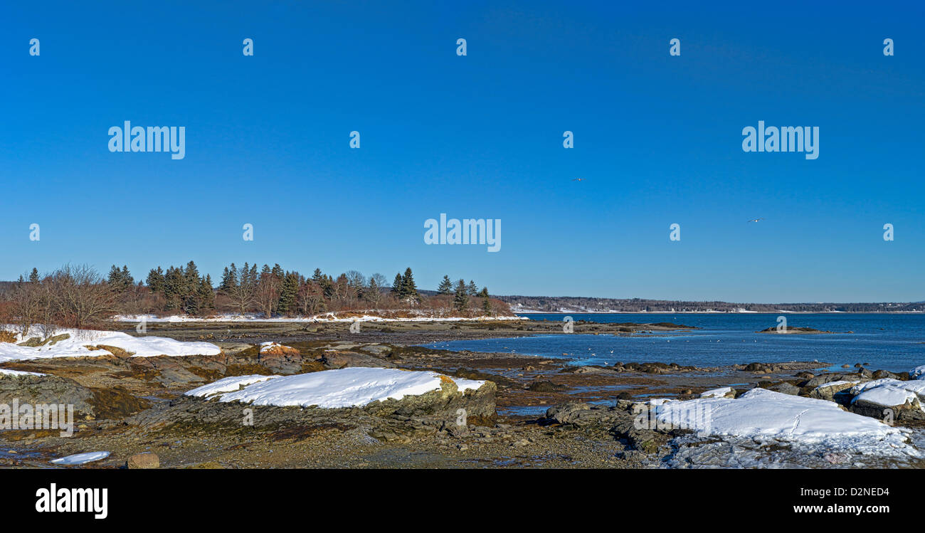 Vue sur l'océan et littoral rocheux avec de la neige couvrant à peu de Deer Isle, dans le Maine. Banque D'Images