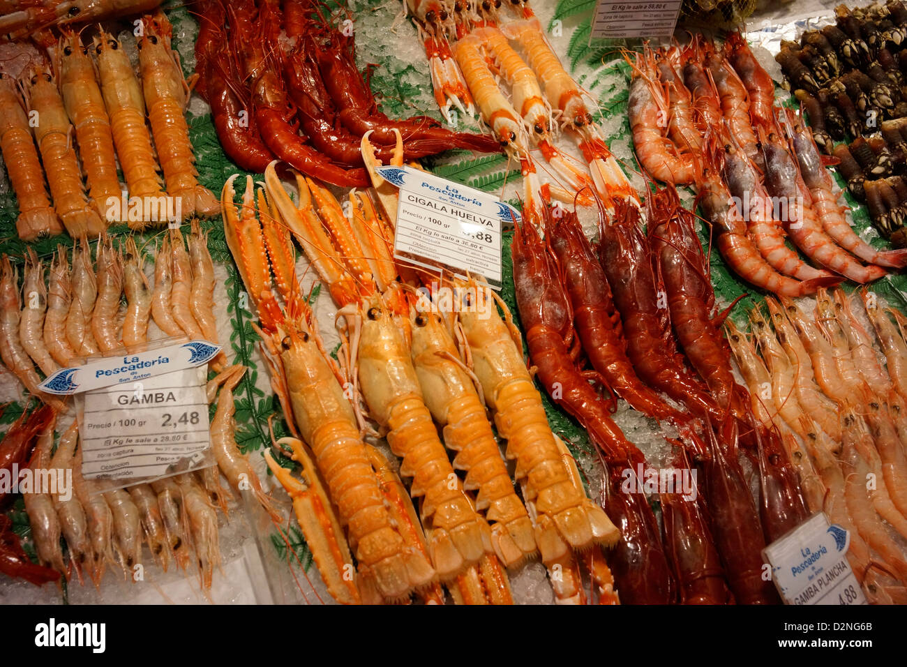 Fruits de mer langoustines Langoustines Crevettes crevettes gamba cigala Langoustine Langoustine de la baie de Dublin madrid marché mercado à vendre frais s Banque D'Images