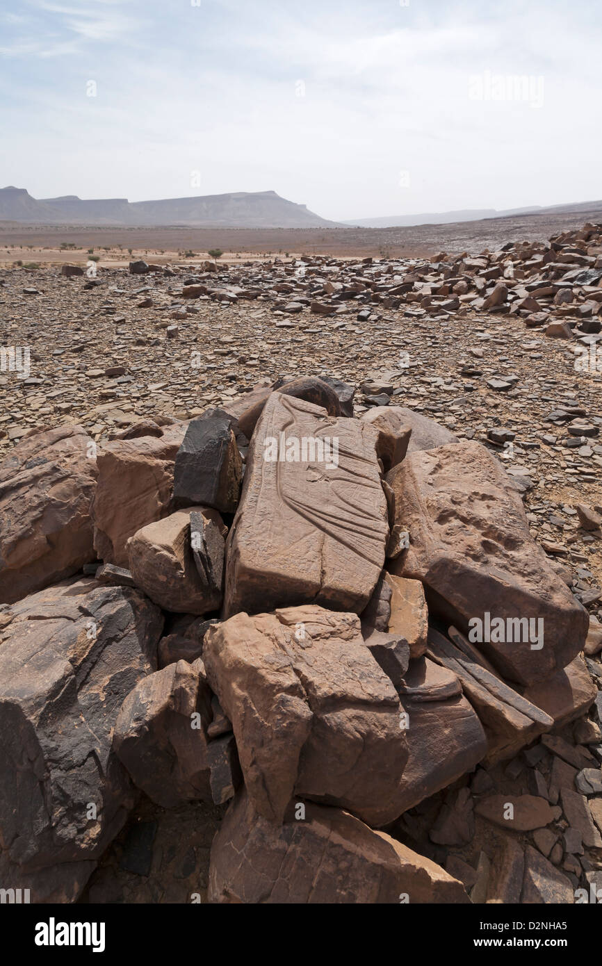 art-prehistorique-maroc-banque-de-photographies-et-d-images-haute