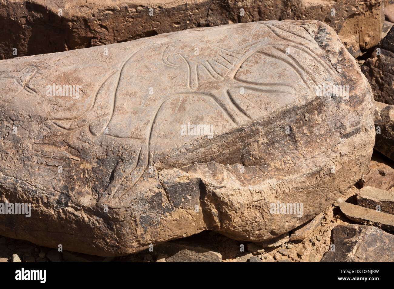 Site d'art rupestre préhistorique ait Ouazik, Maroc, Afrique du Nord Banque D'Images