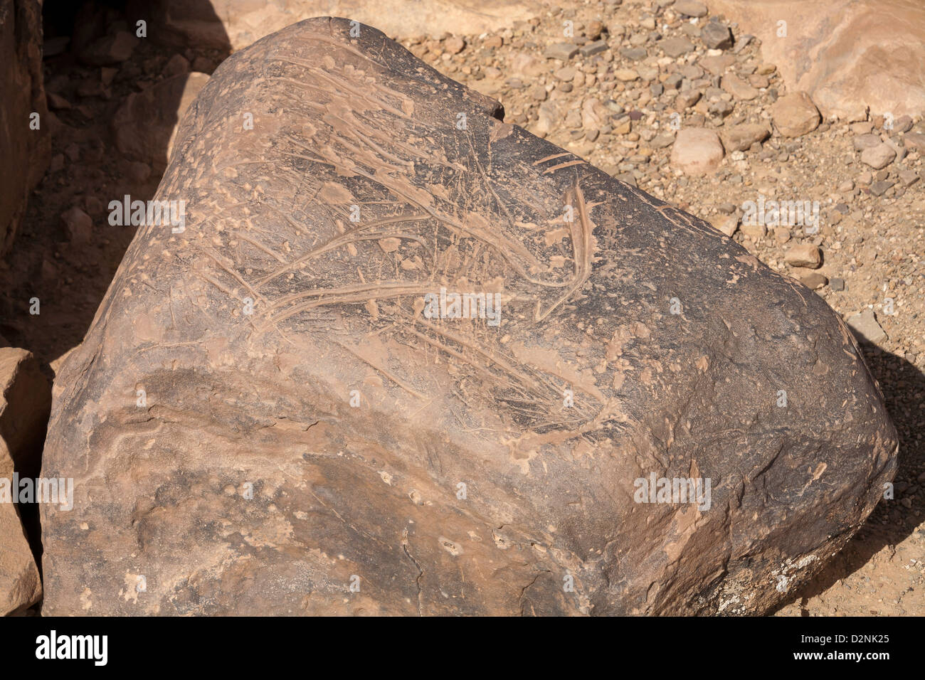 Site d'art rupestre préhistorique ait Ouazik, Maroc, Afrique du Nord Banque D'Images