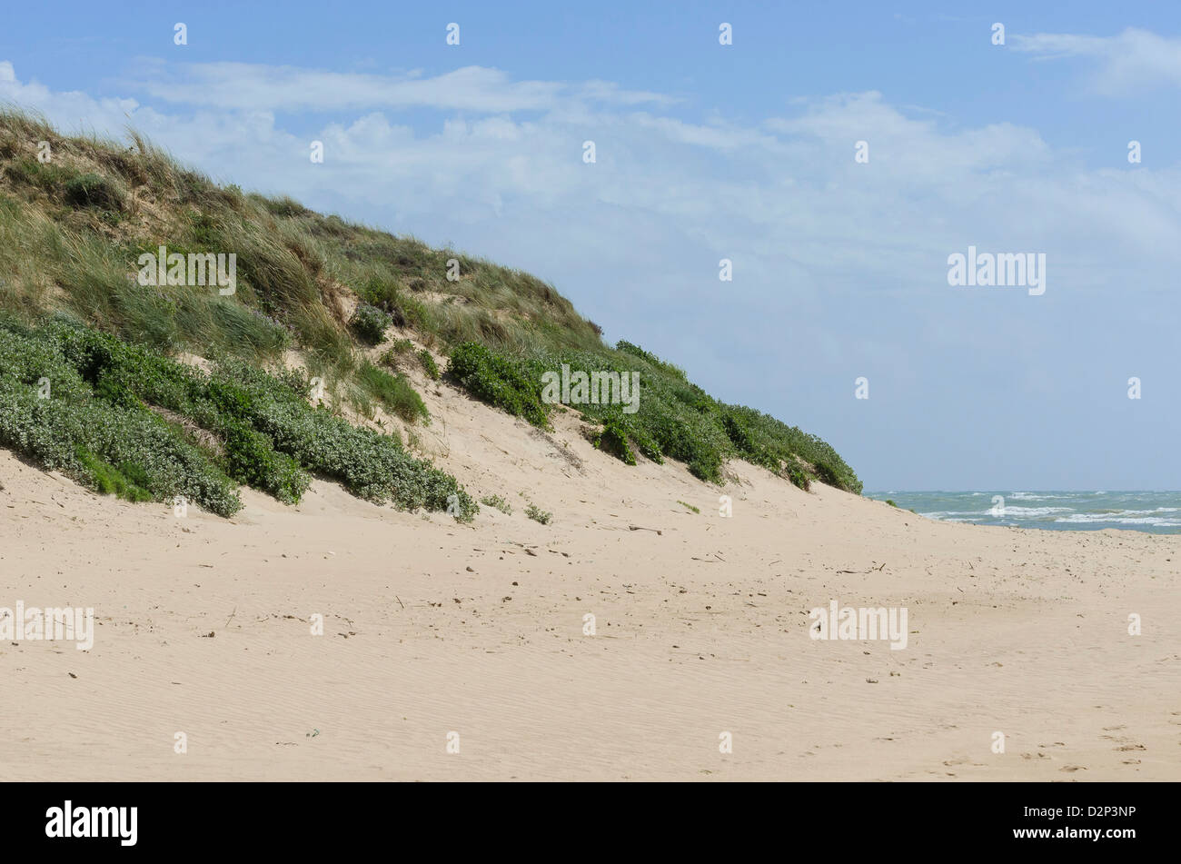 L'érosion des dunes de sable. Banque D'Images