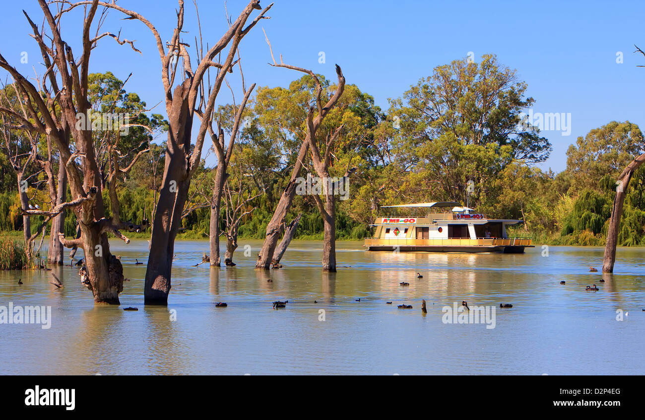 Chambre bateau qui navigue le long du fleuve Murray près du canton de Riverland Renmark en Australie du Sud Banque D'Images