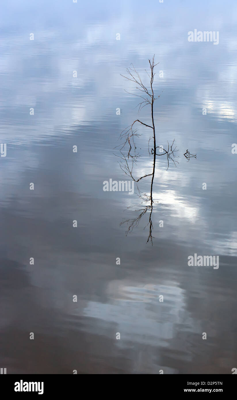 Réflexions sur l'eau encore dans le lac Bonney Riverland du sud de l'Australie près de Barmera Banque D'Images