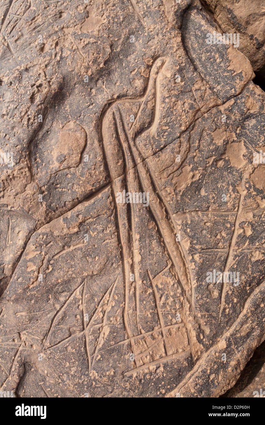 art-prehistorique-maroc-banque-de-photographies-et-d-images-haute