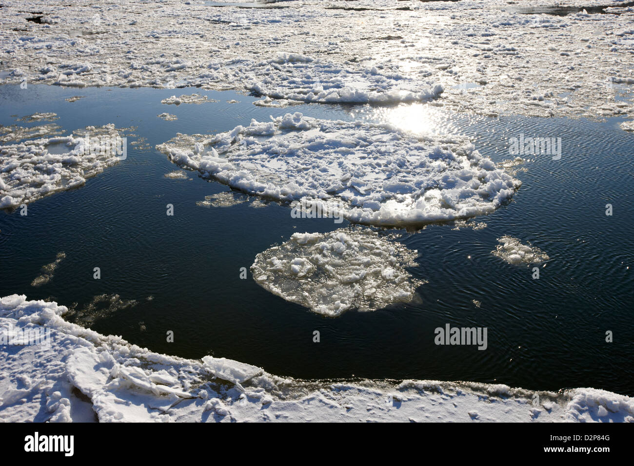 De gros morceaux de glace flottant sur la rivière Saskatchewan sud en hiver circulant dans le centre-ville de Saskatoon, Saskatchewan, Canada Banque D'Images