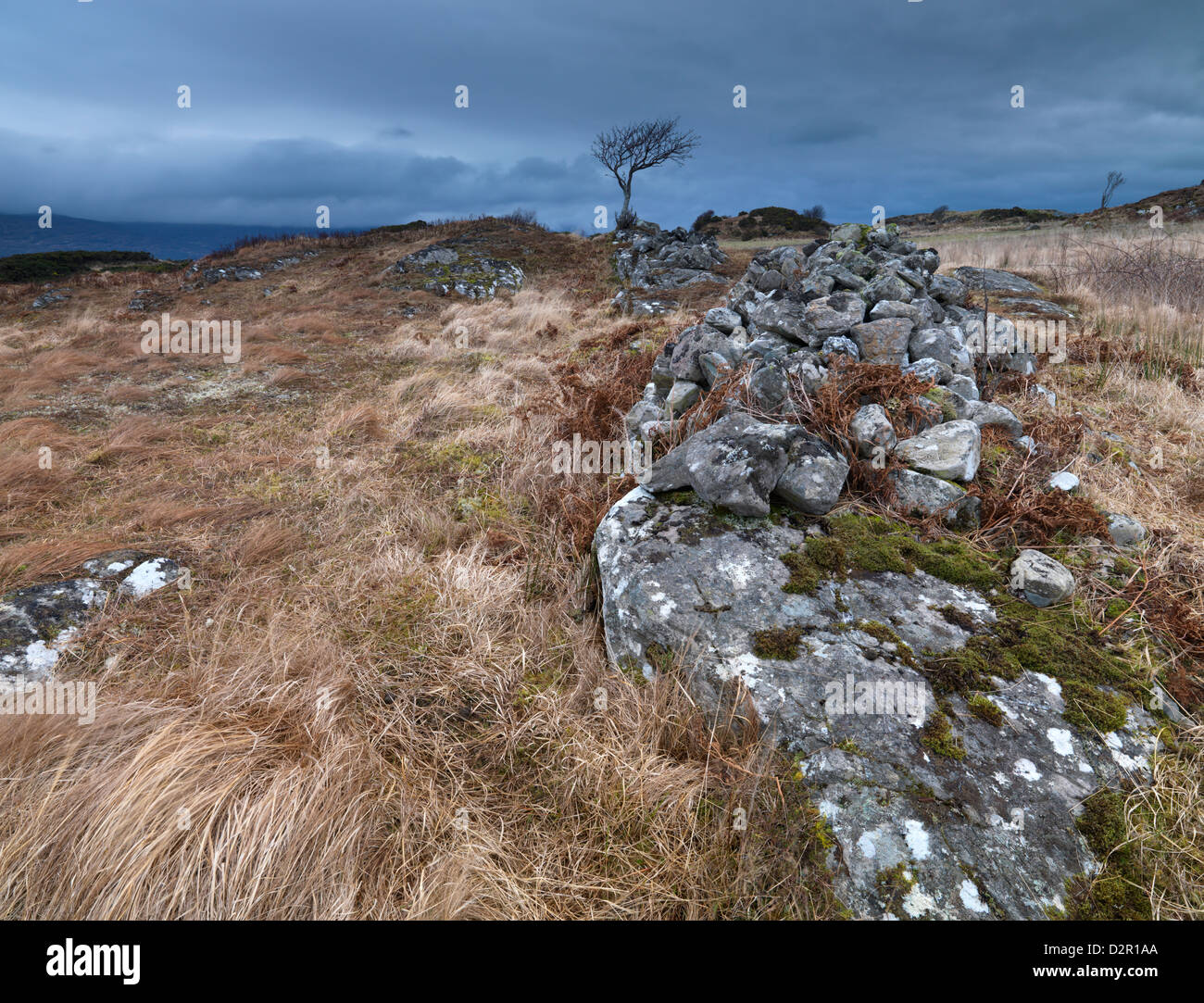 Un matin à moody Drumbuie, Ross Shire, Ecosse Banque D'Images