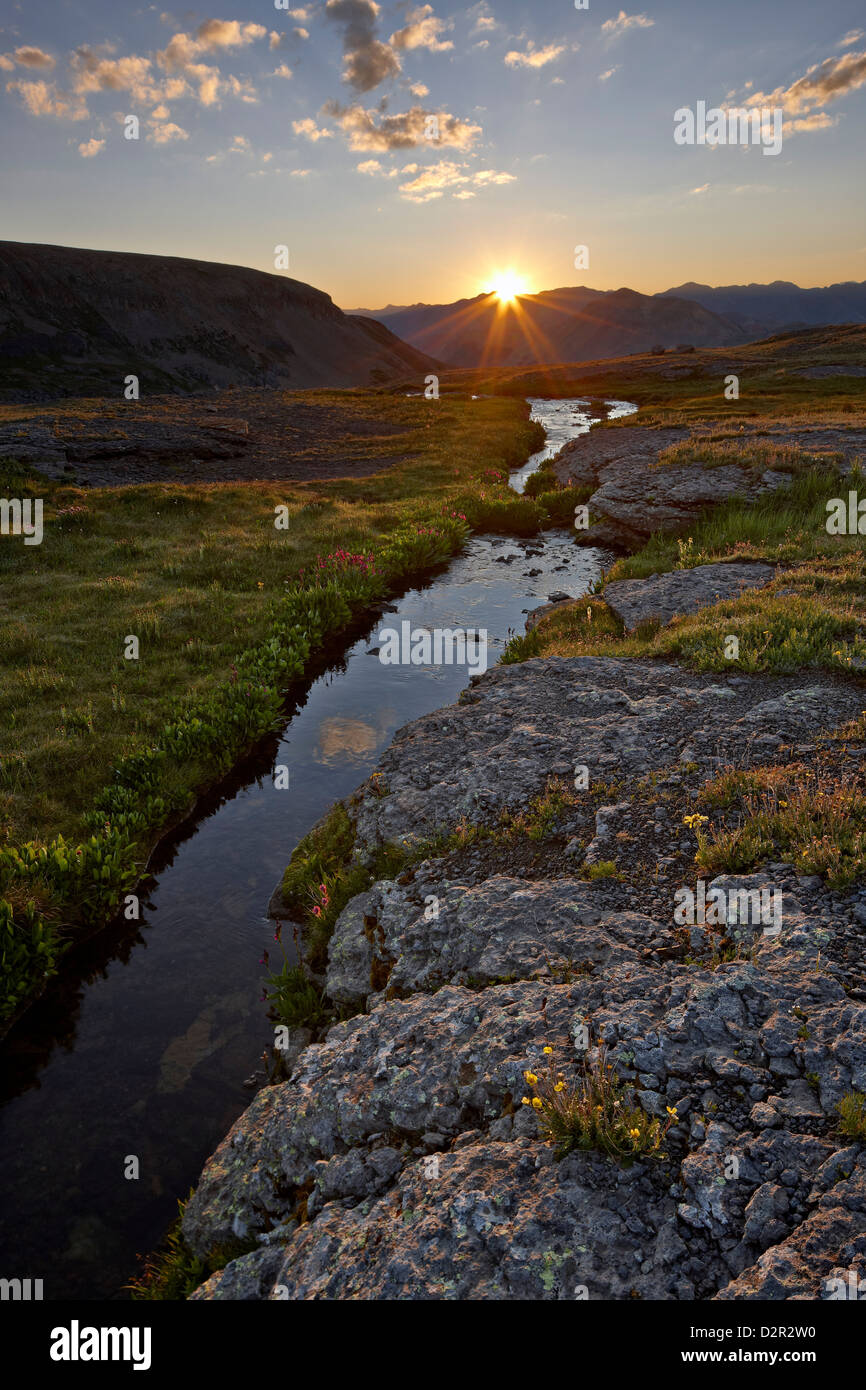 Lever du soleil dans une prairie alpine avec fleurs sauvages, San Juan National Forest, Colorado, États-Unis d'Amérique, Amérique du Nord Banque D'Images