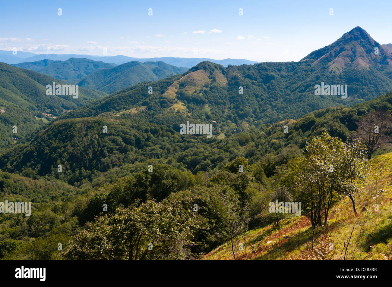 Pescaglia Montagne, Alpes Apuanes (Alpes Apuanes), la province de Lucques, Toscane, Italie, Europe Banque D'Images