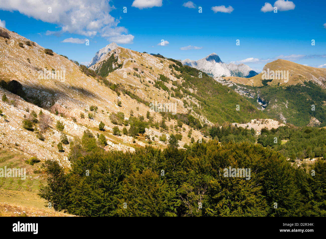 Monte Matanna Matanna (montagne), Alpes Apuanes (Alpes Apuanes), la province de Lucques, Toscane, Italie, Europe Banque D'Images