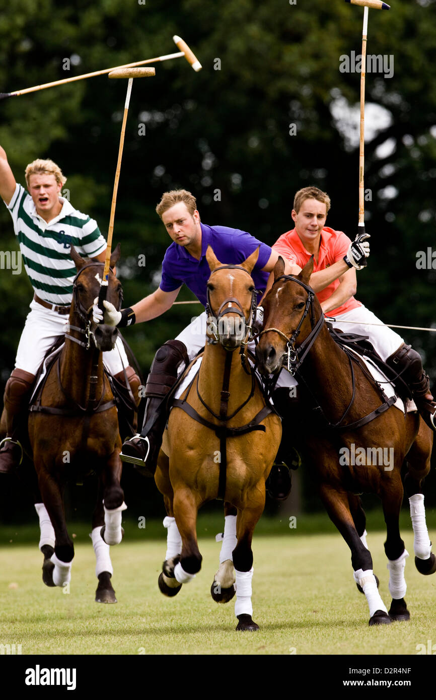 Joueurs de polo en poussant les uns les autres en rivalité pour le bal Banque D'Images