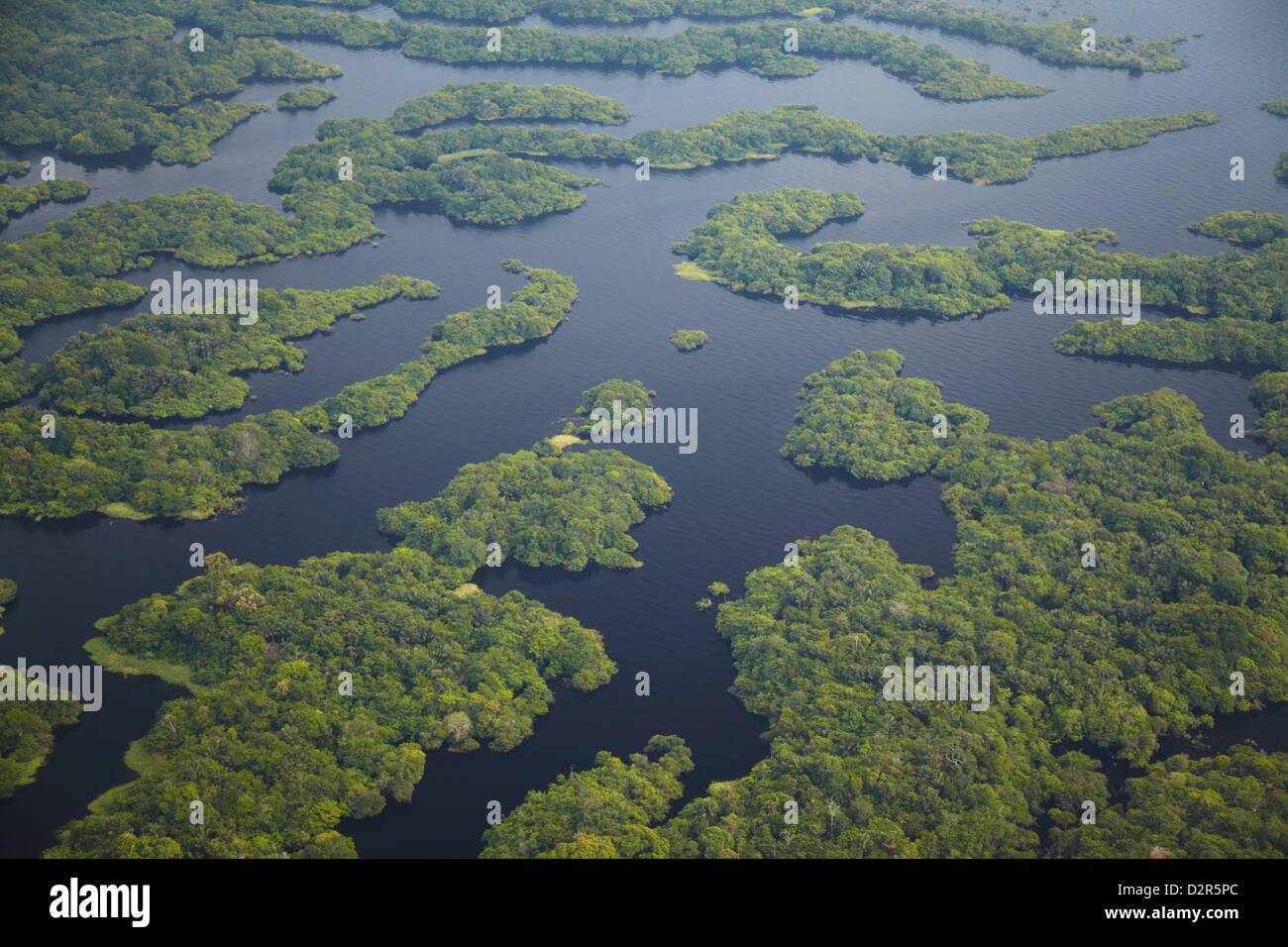 Vue aérienne de la forêt amazonienne et affluent du Rio Negro, Manaus