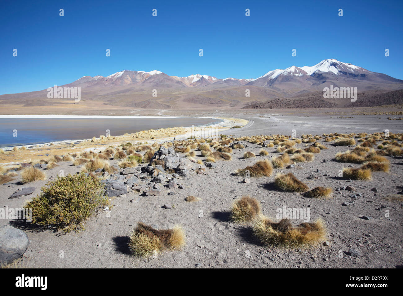 Paysage de Laguna Canapa sur l'Altiplano, Potosi, Bolivie, Ministère de l'Amérique du Sud Banque D'Images