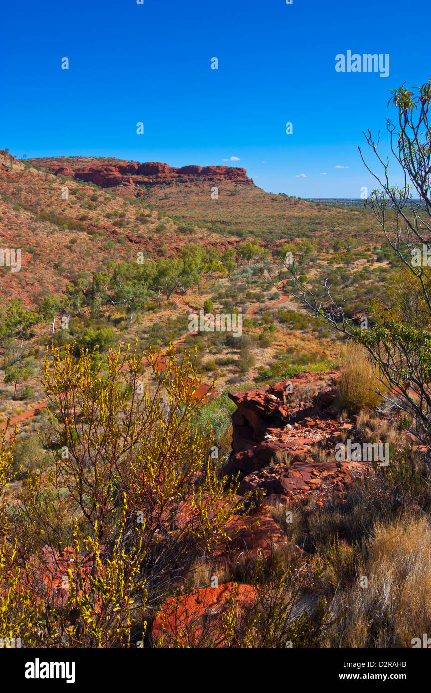 Kings Canyon, Territoire du Nord, Australie, Pacifique Banque D'Images