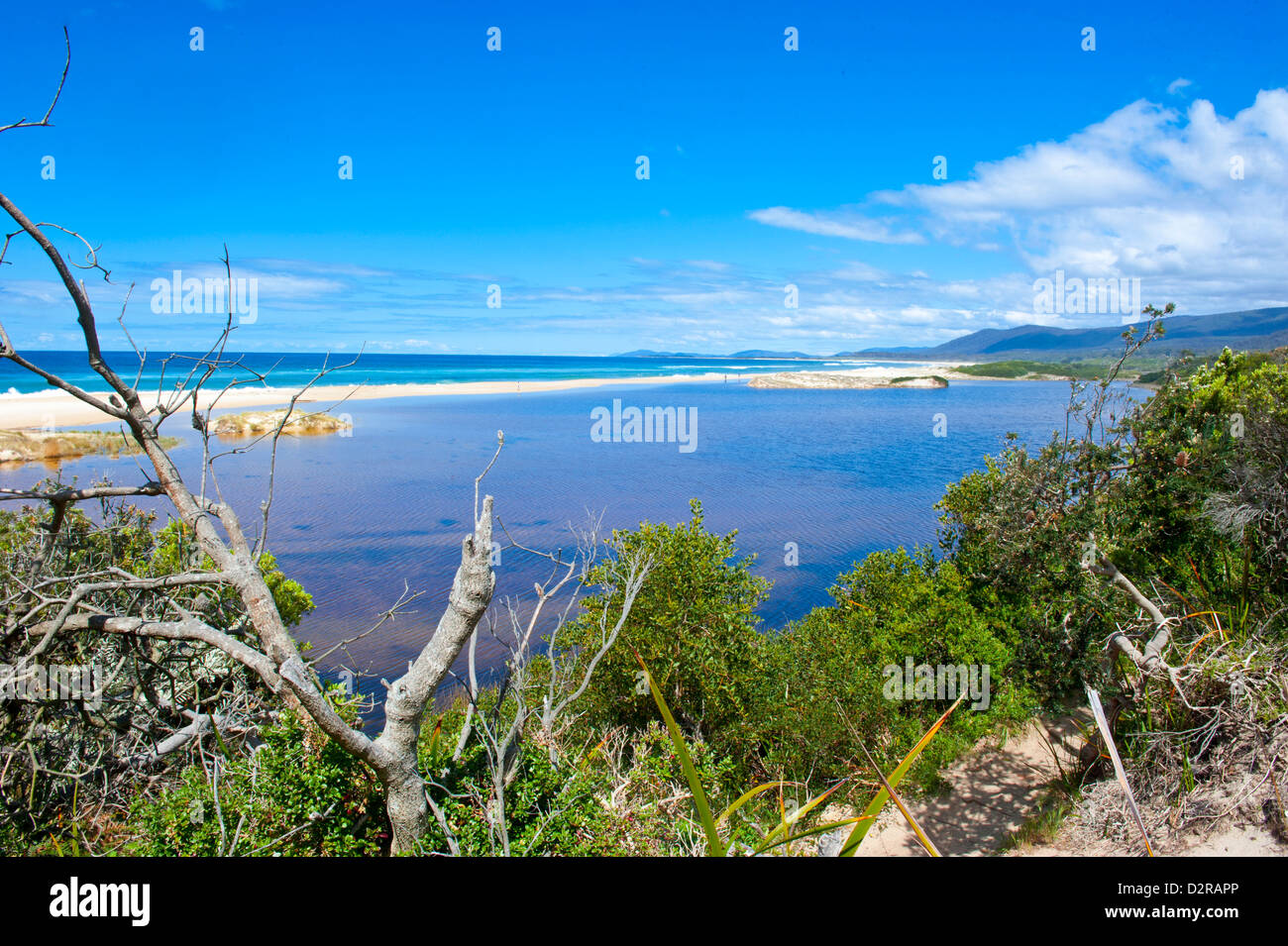Lonely Beach sur la côte Est de la Tasmanie, Australie, Pacifique Banque D'Images