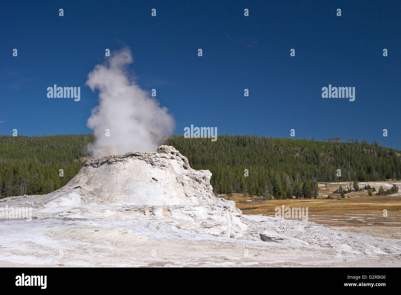 Castle Geyser, Upper Geyser Basin, Parc National de Yellowstone, Wyoming, USA Banque D'Images
