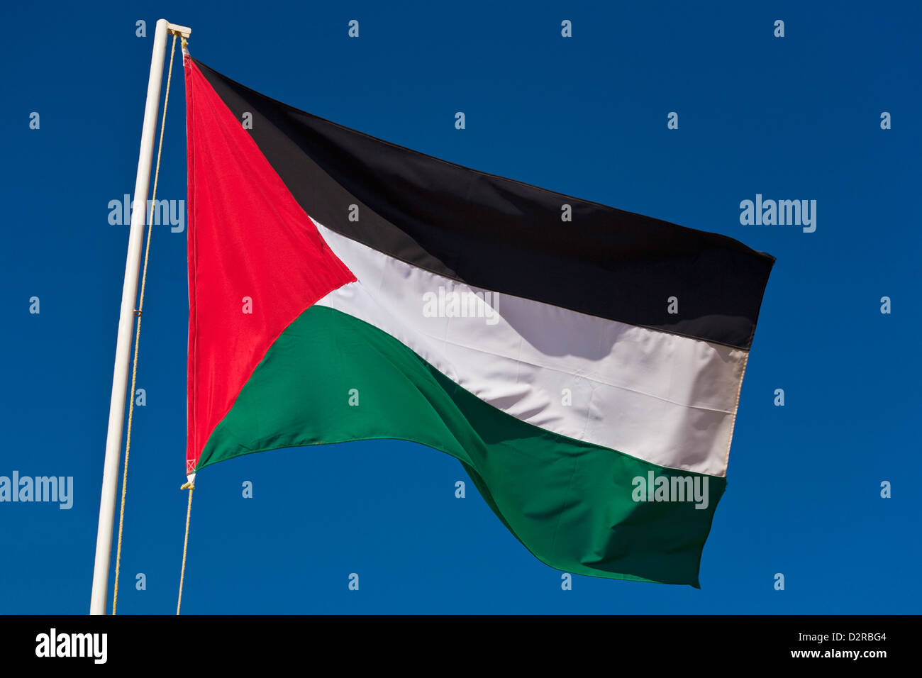 Lot De 12 Drapeaux Palestine à Main - 20x14.5 Cm Avec Hampe, Polyester, Pour Extérieur Et Manifestations