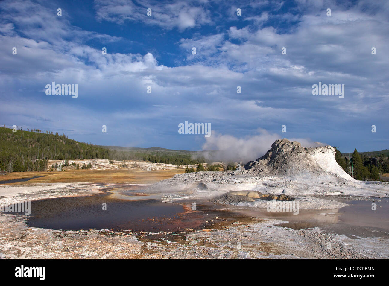 Castle Geyser, Upper Geyser Basin, Parc National de Yellowstone, Wyoming, USA Banque D'Images