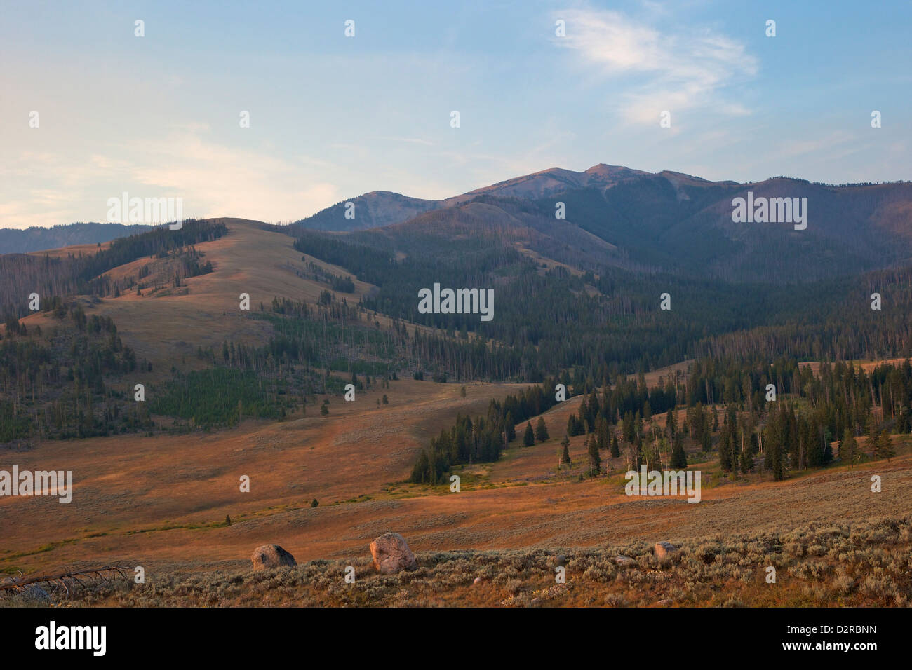 Mont Washburn in early morning light, le Parc National de Yellowstone, Wyoming, USA Banque D'Images