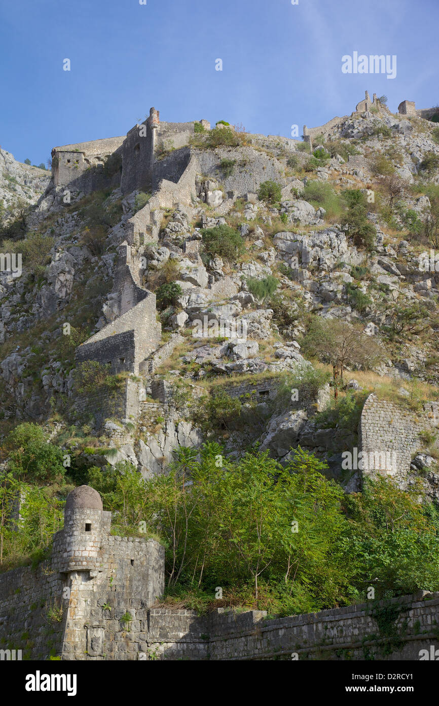 Forteresse, vieille ville, Kotor, Site du patrimoine mondial de l'UNESCO, le Monténégro, Europe Banque D'Images