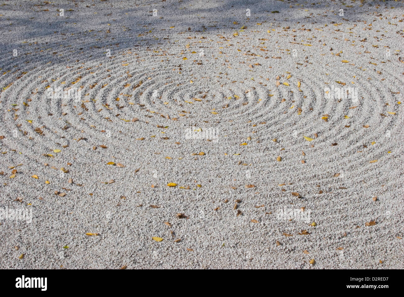 Jardin zen, gris. Banque D'Images