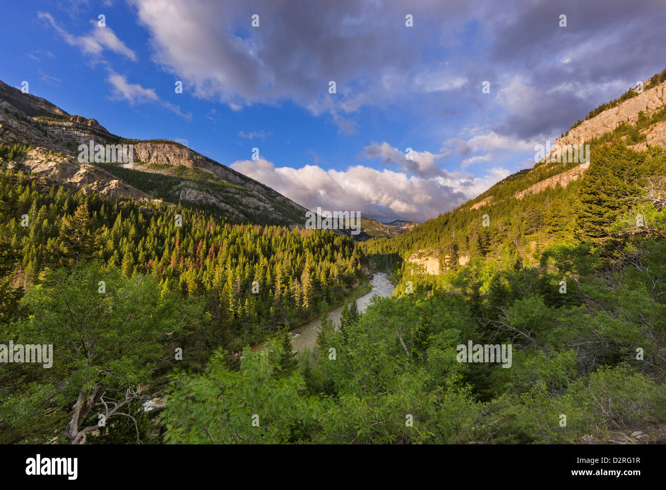 La rivière de Dearborn dans le Lewis and Clark National Forest, Montana, USA Banque D'Images