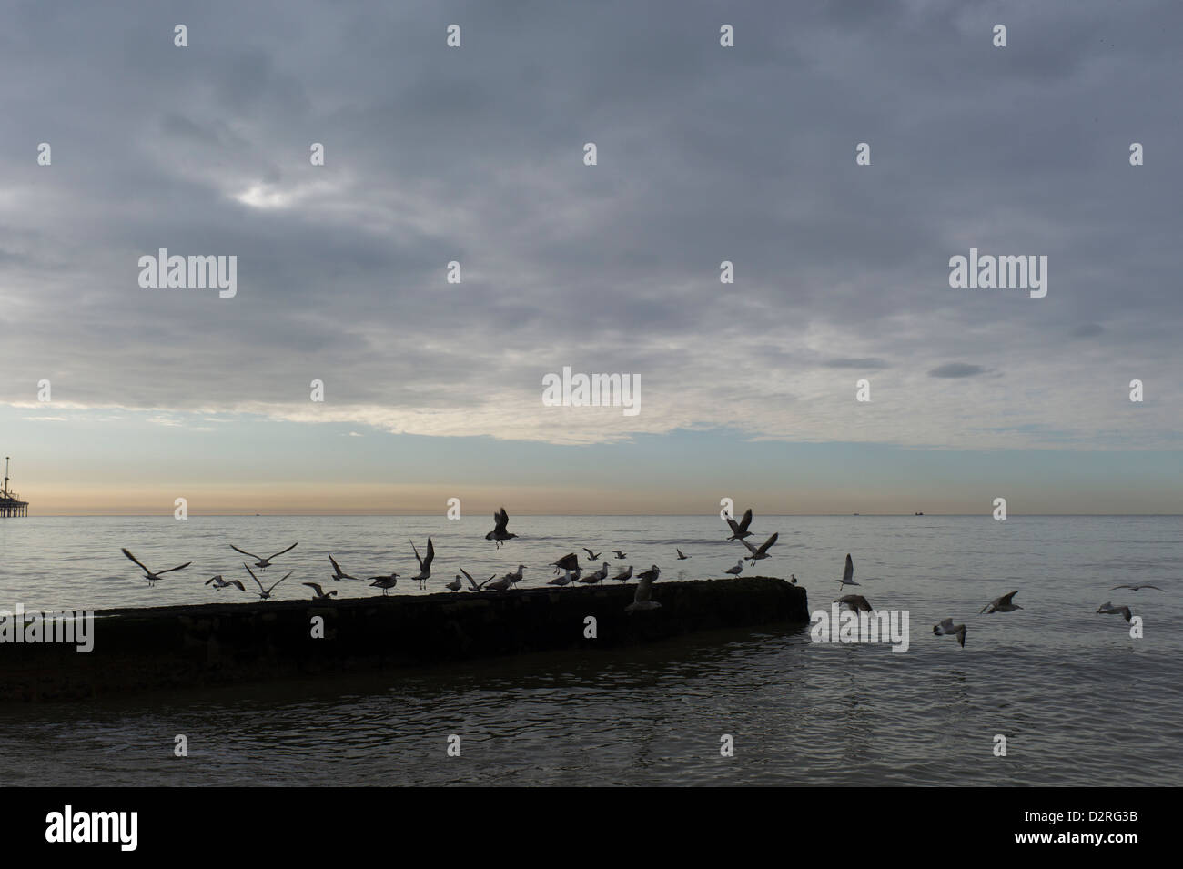 Digue de mer, les goélands, matin, les nuages Banque D'Images